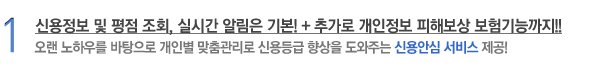 1. 신용정보 및 평점 조회, 실시간 알림은 기본! + 추가로 개인정보 피해보상 보험기능까지!! 오랜 노하우를 바탕으로 개인별 맞춤관리로 신용등급 향상을 도와주는 신용안심 서비스 제공!
