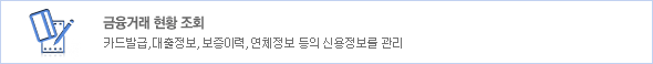 금융거래 현황 조회. 카드발급, 대출정보, 보증이력, 연체정보 등의 신용정보를 관리