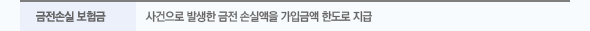 금전손실 보험금 : 사건으로 발생한 금전 손실액을 가입금액 한도로 지급
